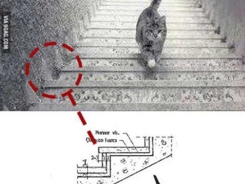 被上楼的原因分析