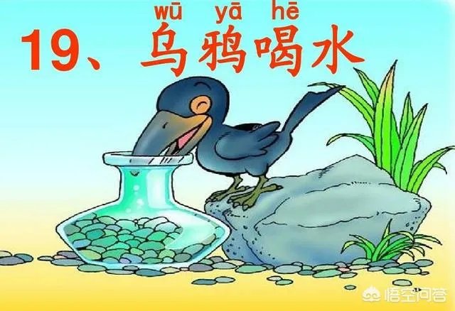 农村常见的乌鸦是很聪明的鸟,为什么有人讨厌它?