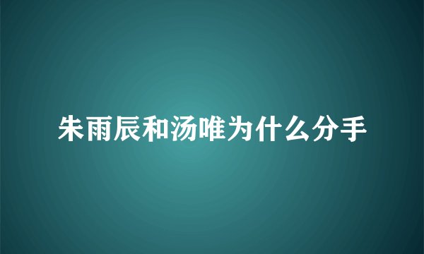 朱雨辰和汤唯为什么分手