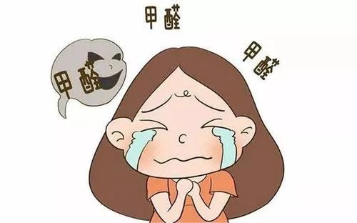 刚装修好的房子里放什么吸收甲醛