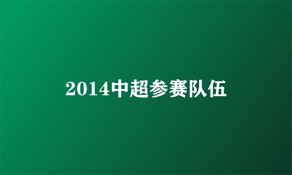 2014中超参赛队伍