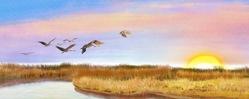 别董大是送别诗吗