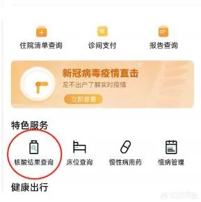 武汉新冠核酸检测结果查询方法？