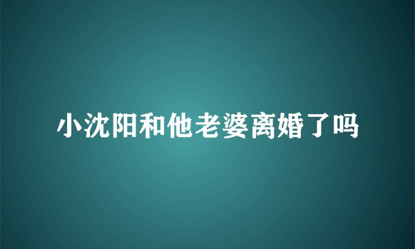 小沈阳和他老婆离婚了吗