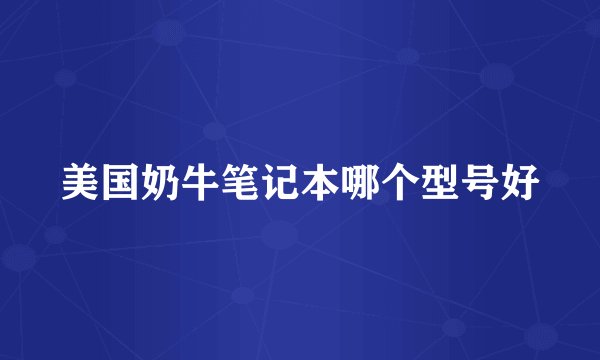 美国奶牛笔记本哪个型号好