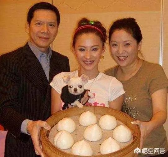 向佐郭碧婷恋情迅速升级的背后，向太为何频频贡献助攻？