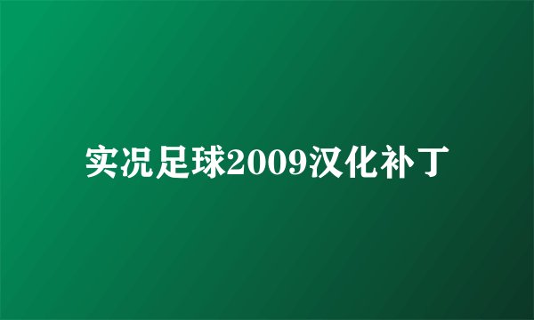 实况足球2009汉化补丁