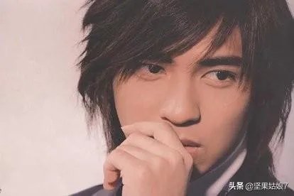 如何评价周渝民？