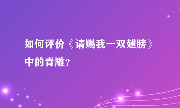 如何评价《请赐我一双翅膀》中的青雕？