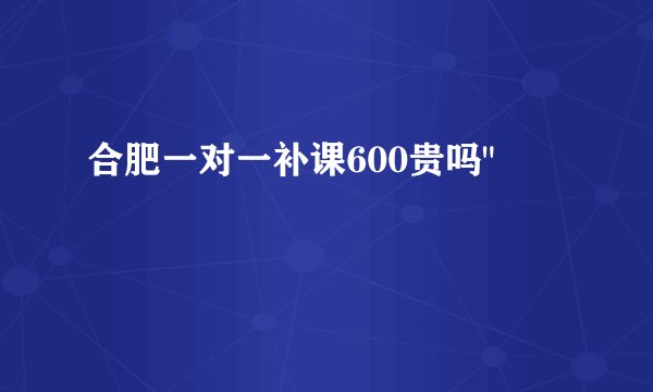 合肥一对一补课600贵吗