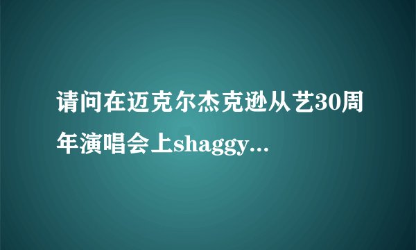 请问在迈克尔杰克逊从艺30周年演唱会上shaggy唱的两首歌的名字是什么？