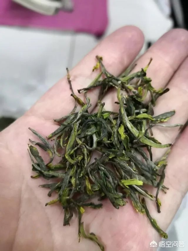 安徽10大名茶占了4个，为何没有安徽茶叶博览会？你怎么看？