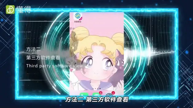 苹果手机怎么看流量使用情况