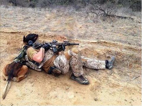 世界十大特种部队有哪些?