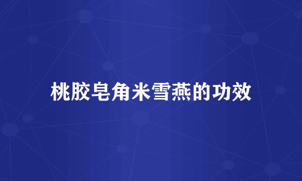 桃胶皂角米雪燕的功效