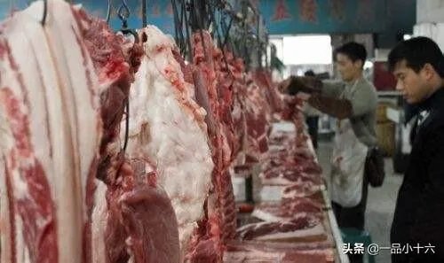 9月4日猪价:东北全线下跌,算是新一轮下跌的信号吗?