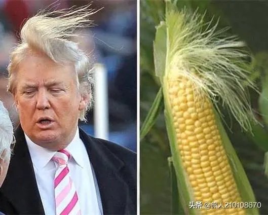 美国在短短几天内疫情情况即将积累全球第一了吗？你怎么看？