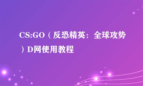 CS:GO（反恐精英：全球攻势）D网使用教程