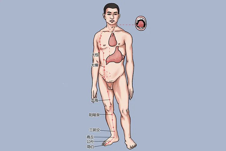 膝盖经络图解大全