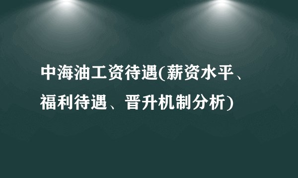 中海油工资待遇(薪资水平、福利待遇、晋升机制分析)