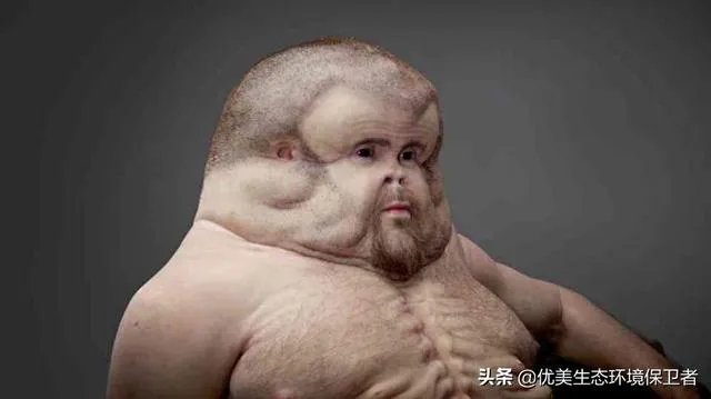 如果达尔文的进化论是正确的,人类最后会进化成什么模样?