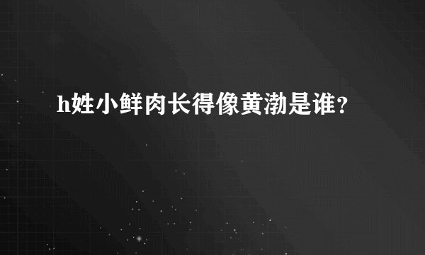 h姓小鲜肉长得像黄渤是谁？