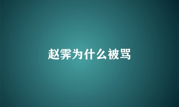 赵霁为什么被骂