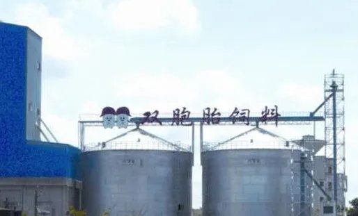 双胞胎饲料工作怎么样