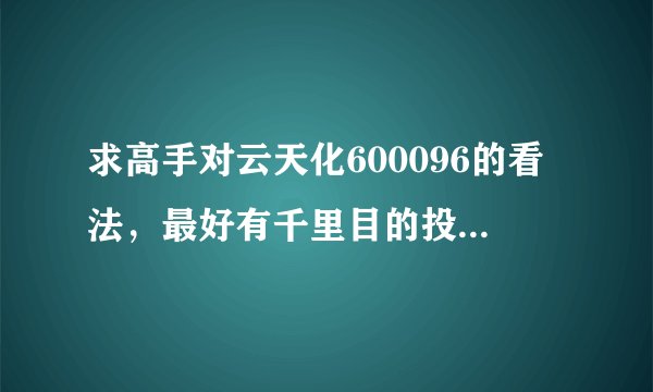 求高手对云天化600096的看法，最好有千里目的投资大家，呵呵