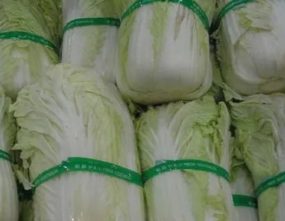 韩国大妈吐槽白菜贵,那为什么韩国不从中国进口?