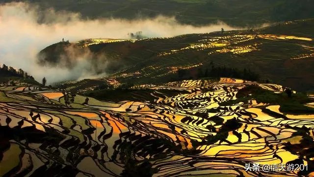 过年去云南旅游，合适吗？