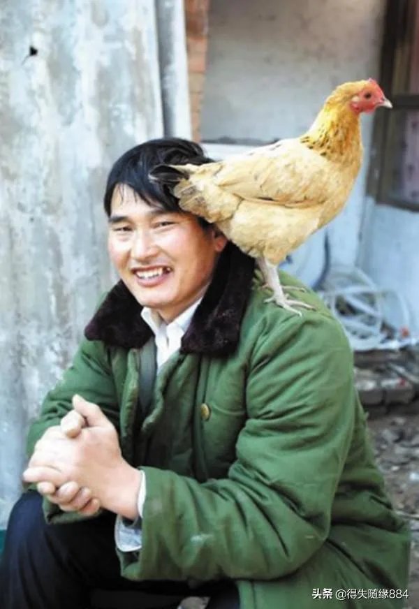 你认为哪些人才是中国真正的明星?