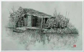 央美和清美的设计哪个更好啊?