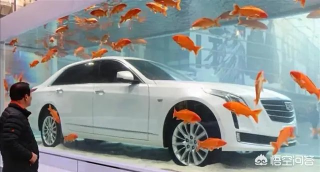 对于最近很火的凯迪拉克追高铁事件怎么看？