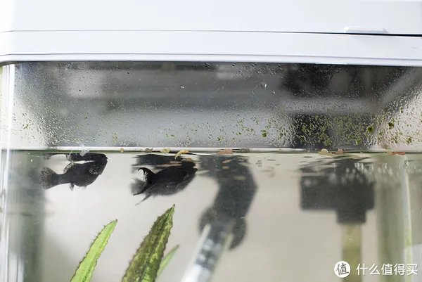 闻香识女人:翻一翻自家女王的小众香水