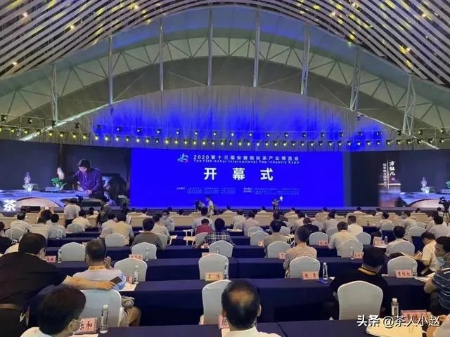 安徽10大名茶占了4个，为何没有安徽茶叶博览会？你怎么看？