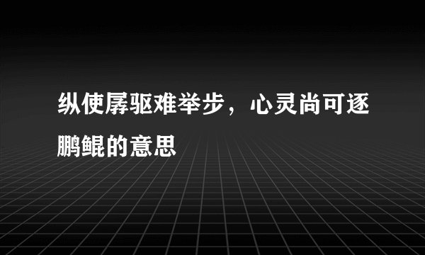 纵使孱驱难举步，心灵尚可逐鹏鲲的意思