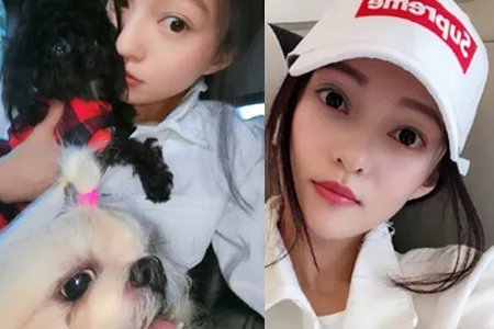 张韶涵发文疑暗讽 娱乐圈的真假友谊谁能看破