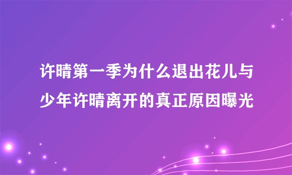 许晴第一季为什么退出花儿与少年许晴离开的真正原因曝光