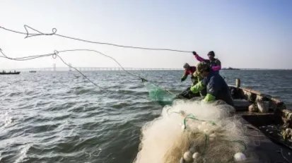 湛江渔民捕获一条大鱼，3男子合力才勉强抬上岸，捕鱼时要注意哪些事项？