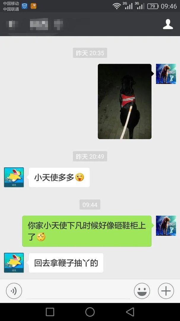 当你的猫或者狗狗去世之后，你还会再养吗？