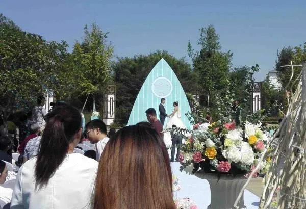 孝感槐荫论坛的介绍