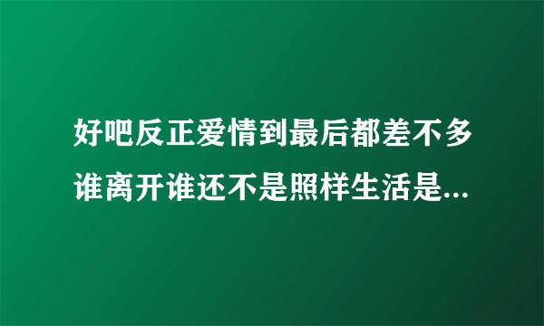 好吧反正爱情到最后都差不多谁离开谁还不是照样生活是什么歌？