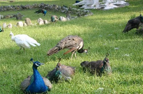 台湾日月潭游玩攻略