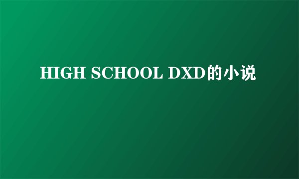 HIGH SCHOOL DXD的小说