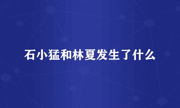 石小猛和林夏发生了什么