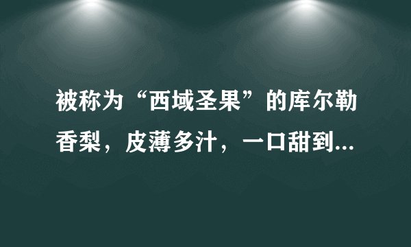 被称为“西域圣果”的库尔勒香梨，皮薄多汁，一口甜到你的心坎里