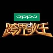 如何评价综艺《2017跨界歌王》？