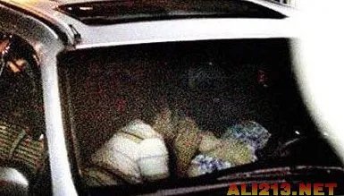 女主持大尺度肉搏 盘点十大明星野外激情战