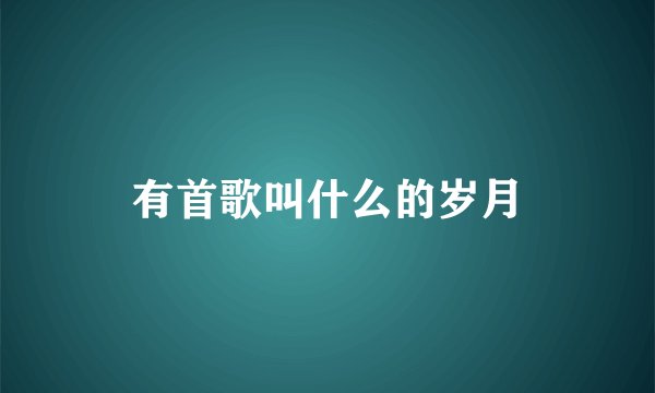 有首歌叫什么的岁月